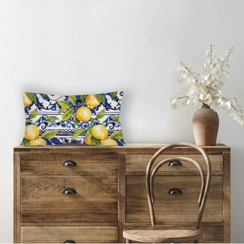 AOFANGGO 12x20 Lemon Throw Pillow Cover