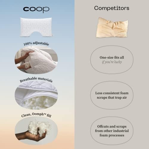 Coop Home Goods Cut-Out Bed Pillow for Side Sleepers