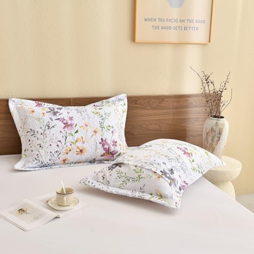 Lady Ann Cotton Quilted Pillow Shams 20x36 Set of 2