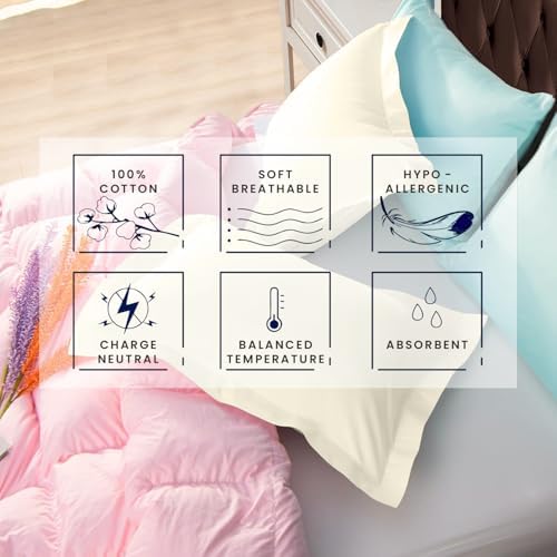 Kotton Culture Set of 2 Euroshams 24x24 Butter 600 Thread Count