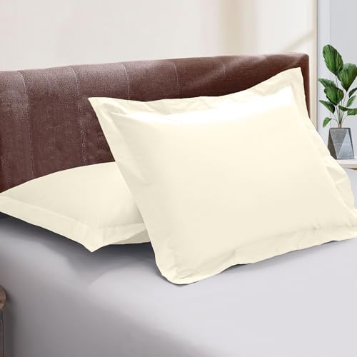 Kotton Culture Set of 2 Euroshams 24x24 Butter 600 Thread Count