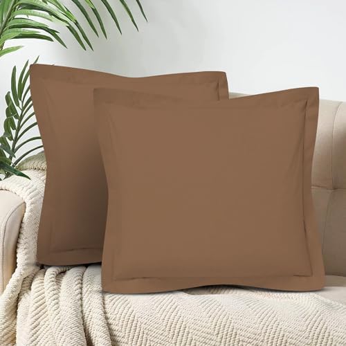 CharlottelyHues 1000 Thread Count Euro Pillow Shams Set of 2