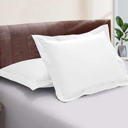 Kotton Culture Set of 2 Euroshams 24x24 White 600 Thread Count 1