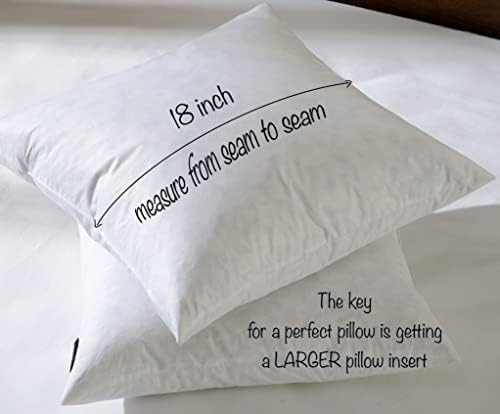 Basic Home 18x18 Down Feather Pillow Inserts Set of 2 White