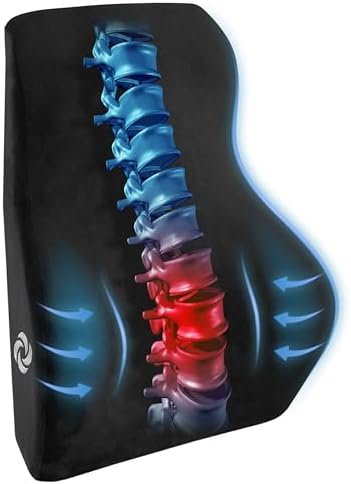 Samsonite Lumbar Support Pillow for Office and Car Use