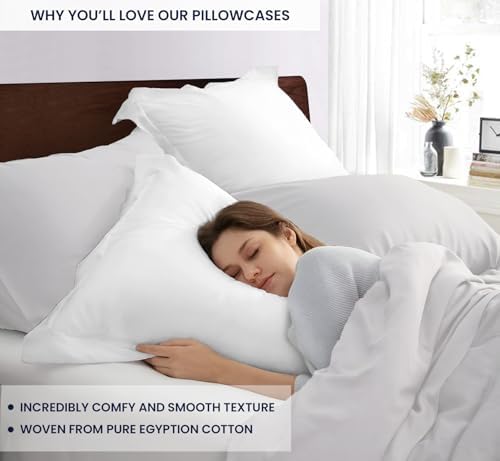 Kotton Culture Set of 2 Euroshams 24x24 White 600 Thread Count 1