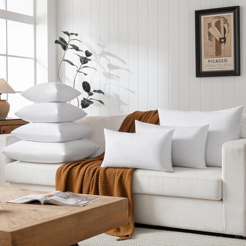 Basic Home 18x18 Down Feather Pillow Inserts Set of 2 White