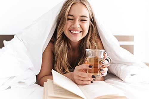 Elegant Comfort 2-Pack Luxury Flat Sheet TwinXL