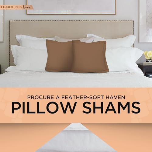 CharlottelyHues 1000 Thread Count Euro Pillow Shams Set of 2