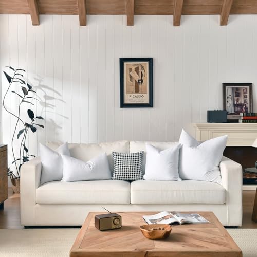 Basic Home 18x18 Down Feather Pillow Inserts Set of 2 White