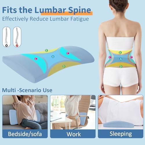 Vamorry Lumbar Support Pillow for Bed Back Pain Relief