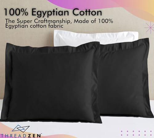 THREADZEN 26x26 Euro Pillow Shams Set of 2 Black