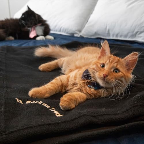 Back on Track Fleece Blanket with Welltex Technology - Small 1