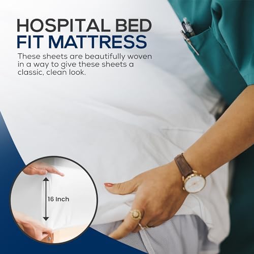 Linteum Textile Supply 19oz Fitted Twin Sheets 2 Pack 1