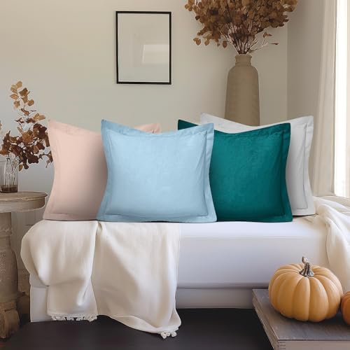 CharlottelyHues 1000 Thread Count Euro Pillow Shams Set of 2