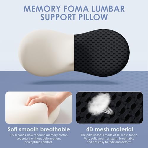 Ergonomic Memory Foam Lumbar Pillow for Office and Car Use