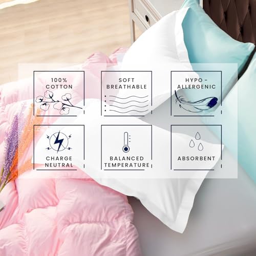 Kotton Culture Set of 2 Euroshams 24x24 White 600 Thread Count 1