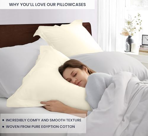 Kotton Culture Set of 2 Euroshams 24x24 Butter 600 Thread Count