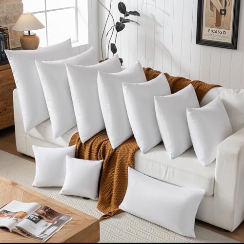 Basic Home 18x18 Down Feather Pillow Inserts Set of 2 White