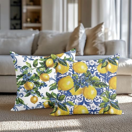 CQM 2PCS Lemon Throw Pillow Covers 18x18 1