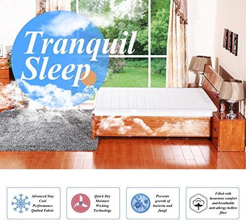 CottonColors Queen Mattress Pad Topper 300TC Cotton