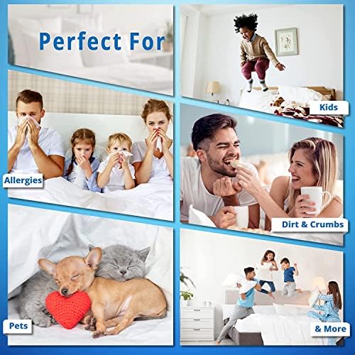 Precious Star Linen Queen Pillowcases Set of 2 1