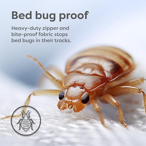 HOSPITOLOGY Zippered Mattress Encasement Twin XL Waterproof 9 Depth