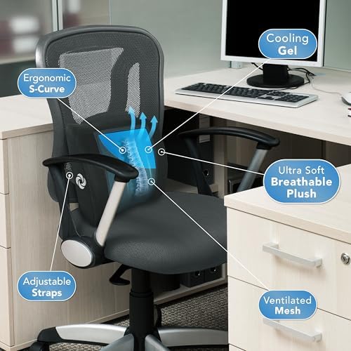 Samsonite Cooling Gel Lumbar Support Pillow for Chair and Car Seat
