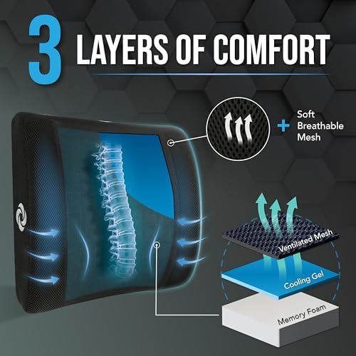 Samsonite Cooling Gel Lumbar Support Pillow for Chair and Car Seat