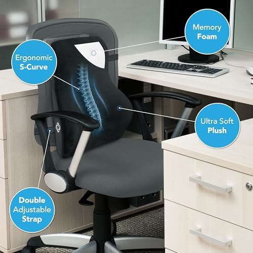Samsonite Lumbar Support Pillow for Office and Car Use