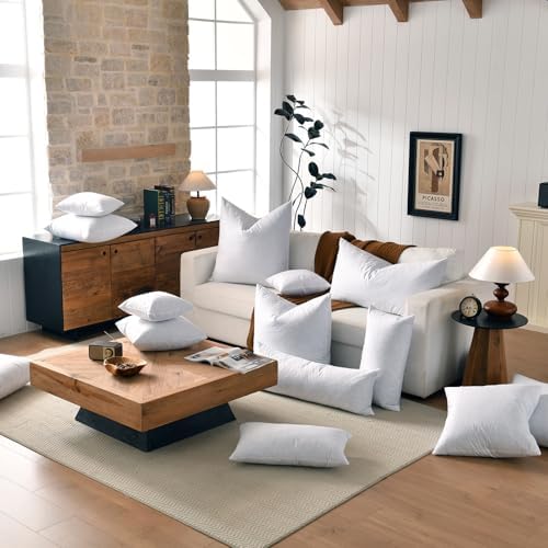 Basic Home 18x18 Down Feather Pillow Inserts Set of 2 White
