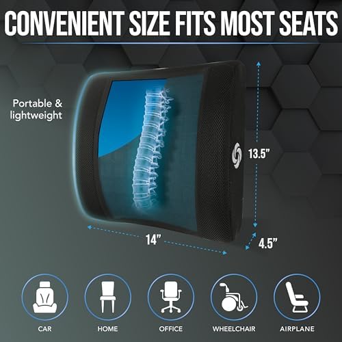 Samsonite Cooling Gel Lumbar Support Pillow for Chair and Car Seat