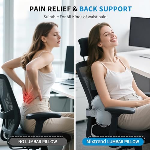 Travel Lumbar Pillow with Memory Foam Inflatable Support