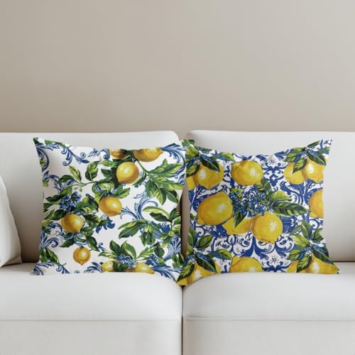 CQM 2PCS Lemon Throw Pillow Covers 18x18 1