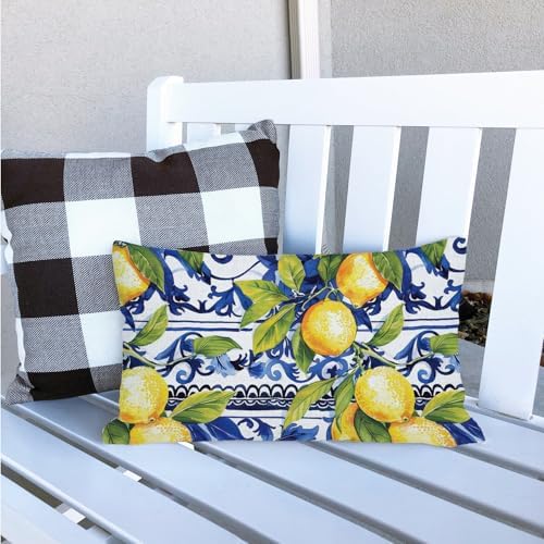 AOFANGGO 12x20 Lemon Throw Pillow Cover