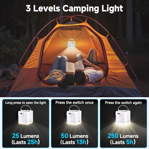 Clopria Portable Air Pump with Camping Light