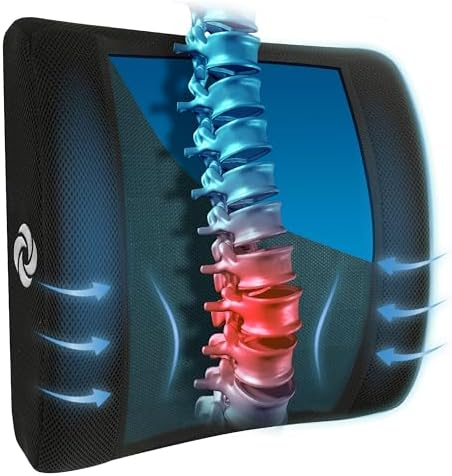 Samsonite Cooling Gel Lumbar Support Pillow for Chair and Car Seat