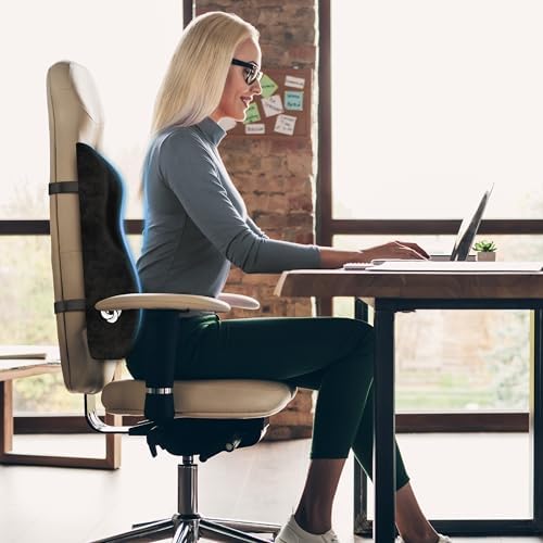 Samsonite Lumbar Support Pillow for Office and Car Use