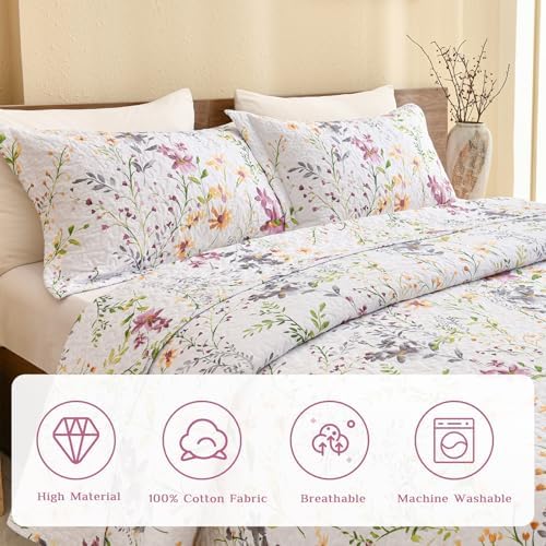 Lady Ann Cotton Quilted Pillow Shams 20x36 Set of 2
