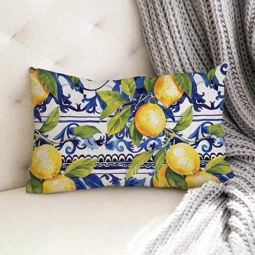 AOFANGGO 12x20 Lemon Throw Pillow Cover