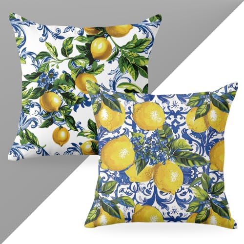 CQM 2PCS Lemon Throw Pillow Covers 18x18 1