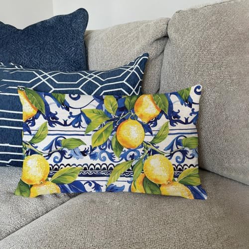 AOFANGGO 12x20 Lemon Throw Pillow Cover