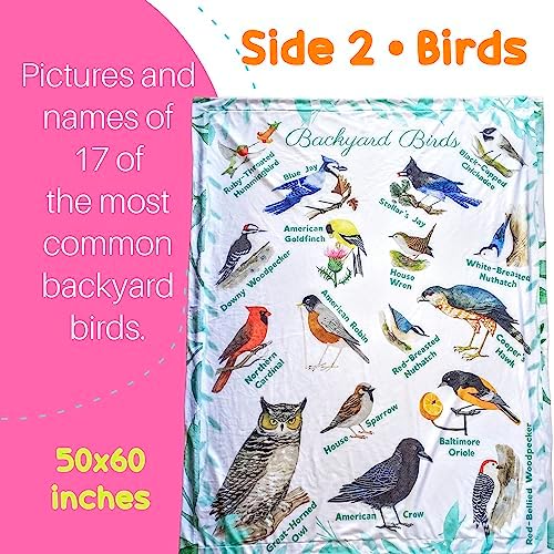 Birdy Boutique Learning Blanket Butterflies Birds Backyard Edition