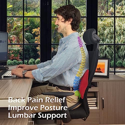 POPIPEN Inflatable Lumbar Support Pillow for Office and Car Seats